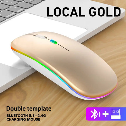 Souris sans fil Bluetooth rechargeable silencieuse avec lumières RGB