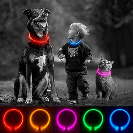 Collier clignotant pour chien