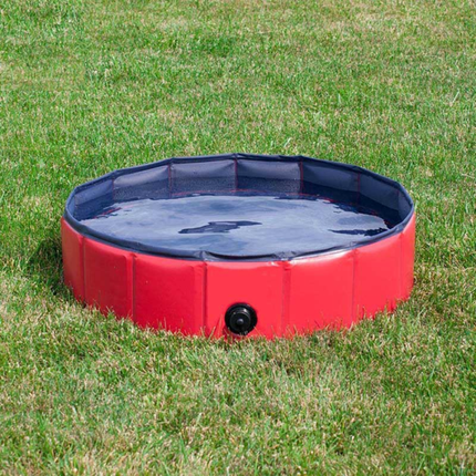 Piscine pour chiens