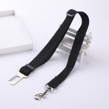 Ceinture de sécurité pour chien