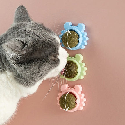 Boule d'Herbe à Chat Rotative