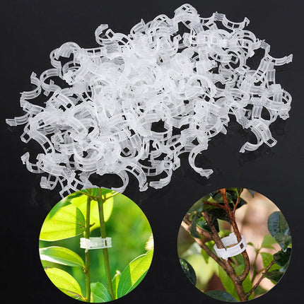 Lot de 100 clips de support de plantes