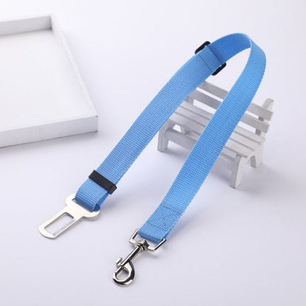 Ceinture de sécurité pour chien