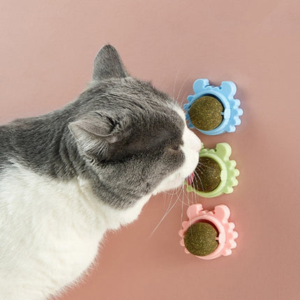 Boule d'Herbe à Chat Rotative