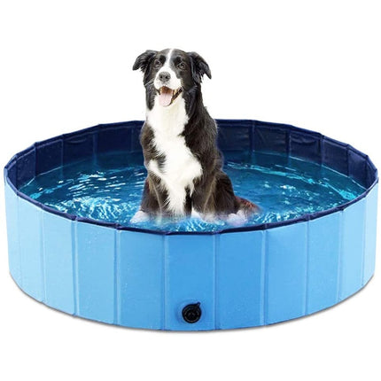 Piscine pour chiens