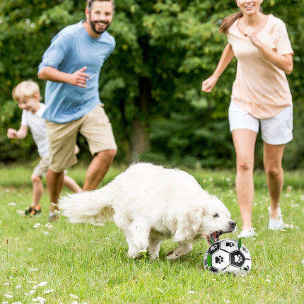 Ballon pour Chien