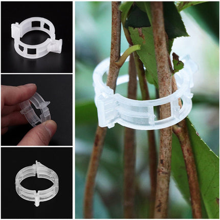 Lot de 100 clips de support de plantes