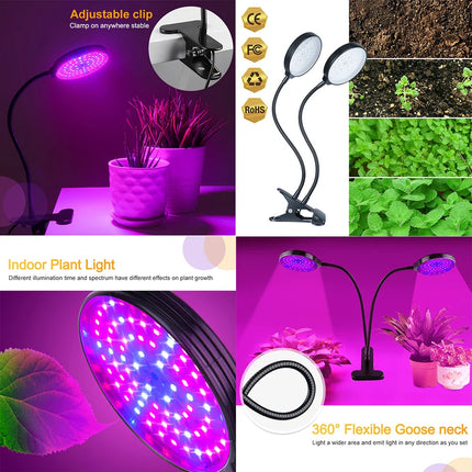 Lampe Horticole de Croissance