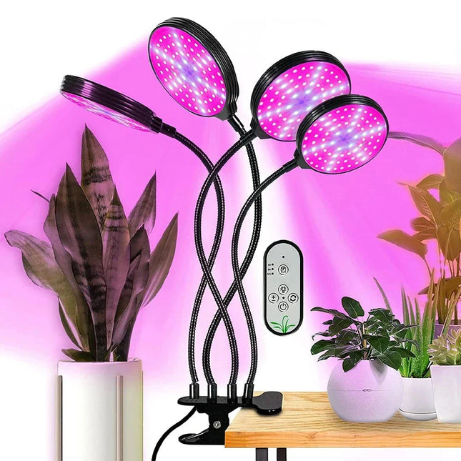 Lampe Horticole de Croissance