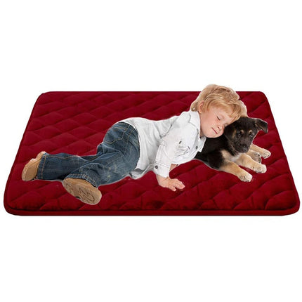 Coussin pour chien