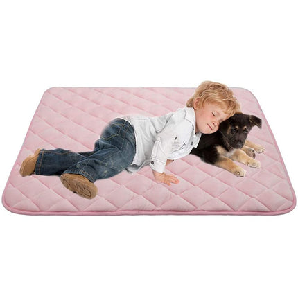 Coussin pour chien