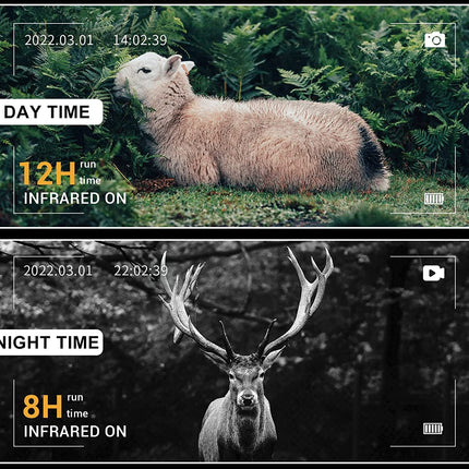 Jumelles à Vision Nocturne et Infrarouge 1080P - Enregistreur Vidéo