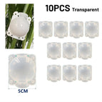 Transparent 10pcs 5cm