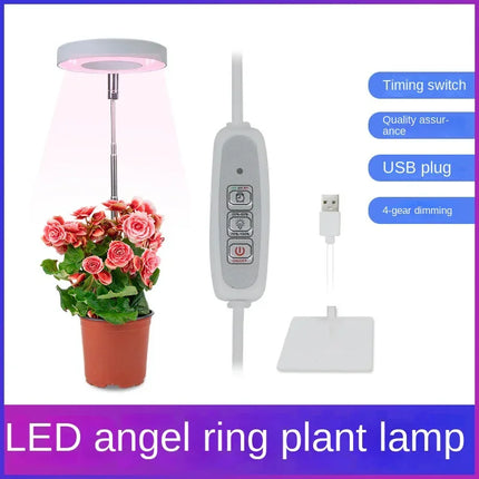 Mini Lampe LED pour croissance des plantes