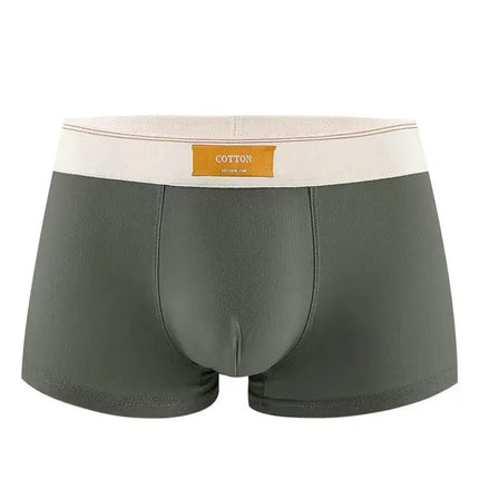 Lot de 3 boxers 100% Coton - Grande Taille