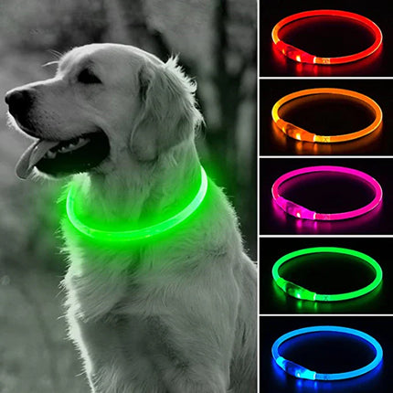 Collier clignotant pour chien