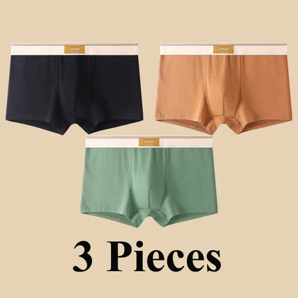 Lot de 3 boxers 100% Coton - Grande Taille