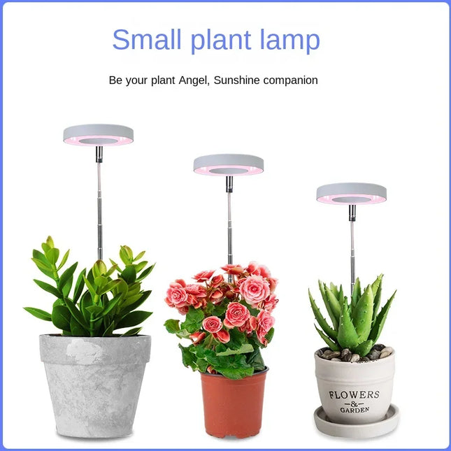 Mini Lampe LED pour croissance des plantes