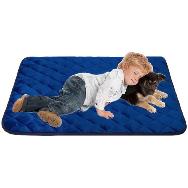 Coussin pour chien