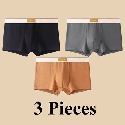 Lot de 3 boxers 100% Coton - Grande Taille