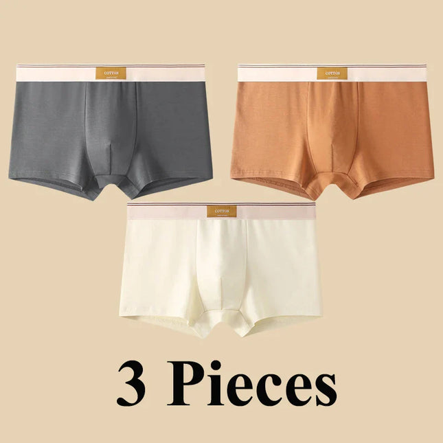 Lot de 3 boxers 100% Coton - Grande Taille