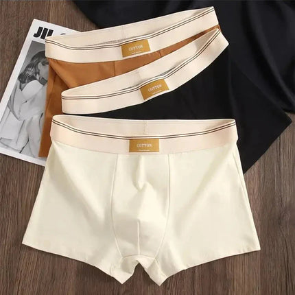 Lot de 3 boxers 100% Coton - Grande Taille