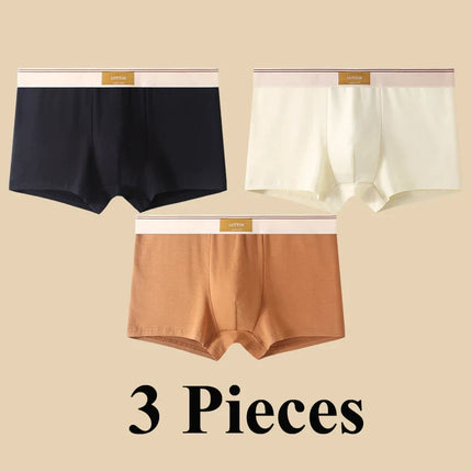 Lot de 3 boxers 100% Coton - Grande Taille