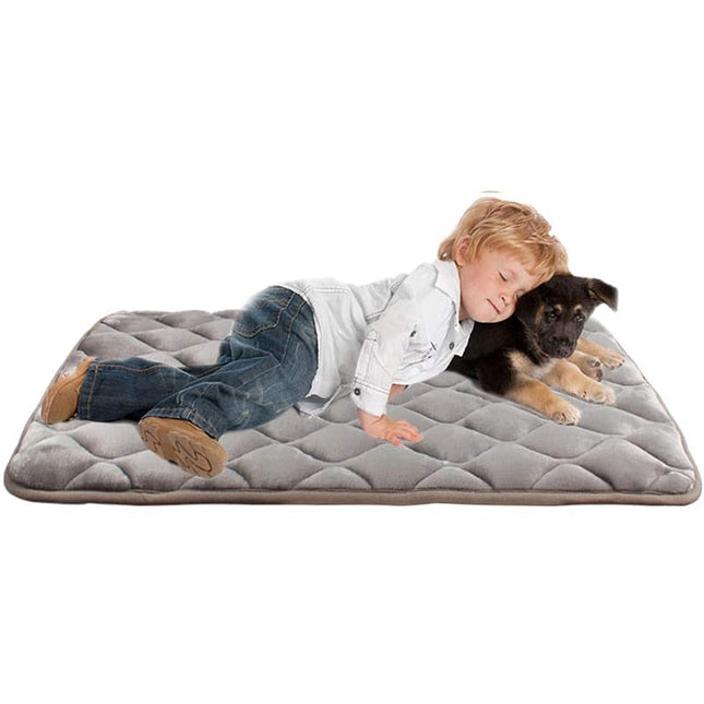 Coussin pour chien