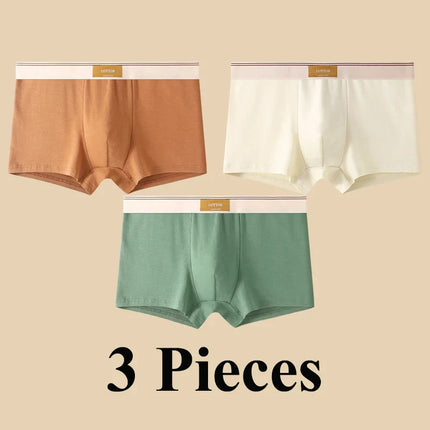 Lot de 3 boxers 100% Coton - Grande Taille