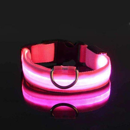 Collier avec éclairage LED waterproof