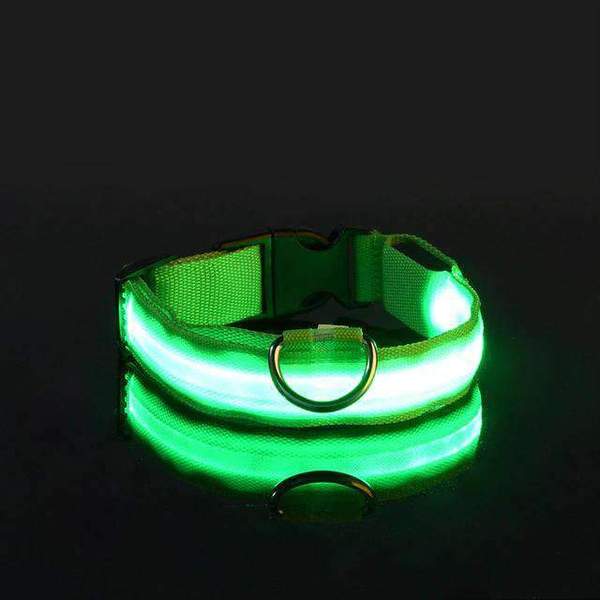 Collier avec éclairage LED waterproof