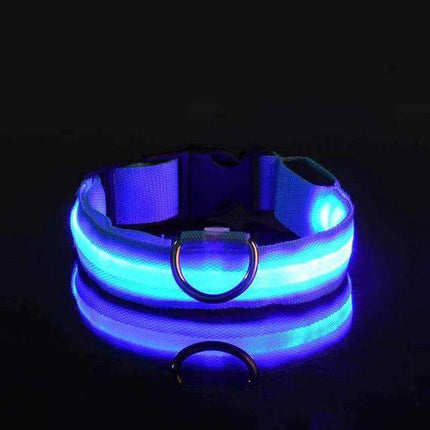 Collier avec éclairage LED waterproof