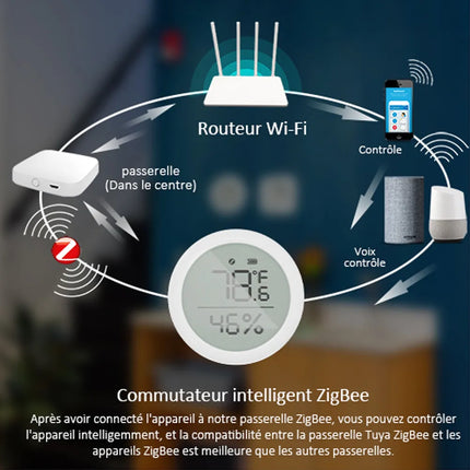 Capteur Intelligent de Température et d'Humidité