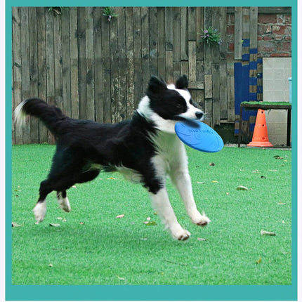 Frisbee incassable