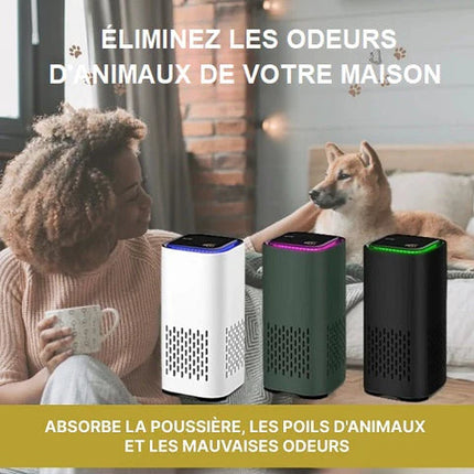 Mini purificateur d'air portable USB