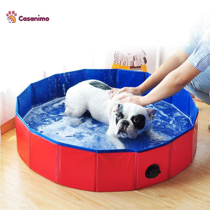 Piscine pour chiens