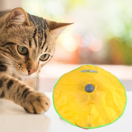 Soucoupe à suspense pour chat